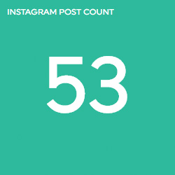Instagram post count