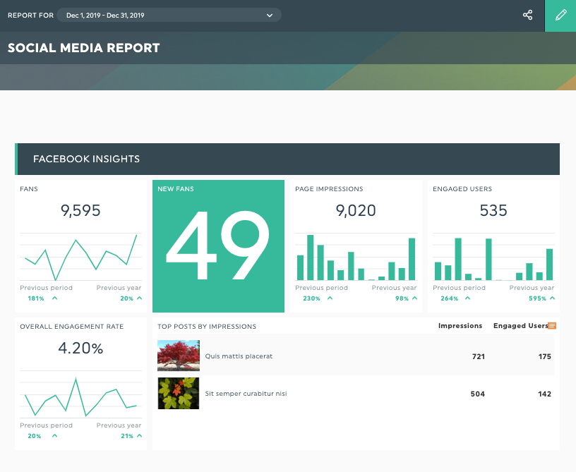 social media report template