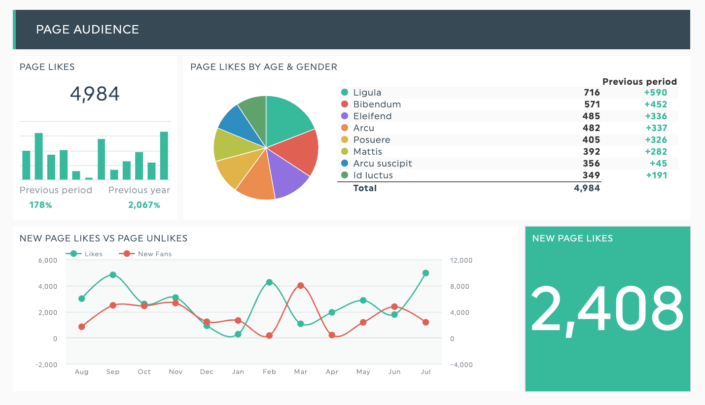 Facebook Insights Report Template DashThis