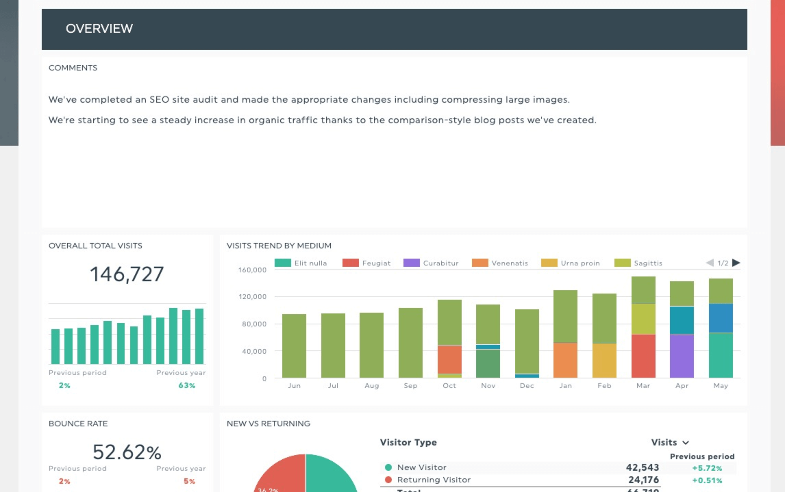 SEO report overview