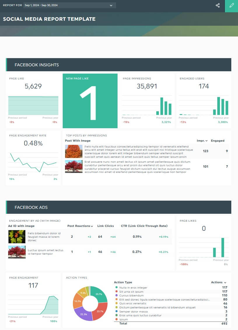 Free Social media presentation template for Facebook Insights and Facebook Ads